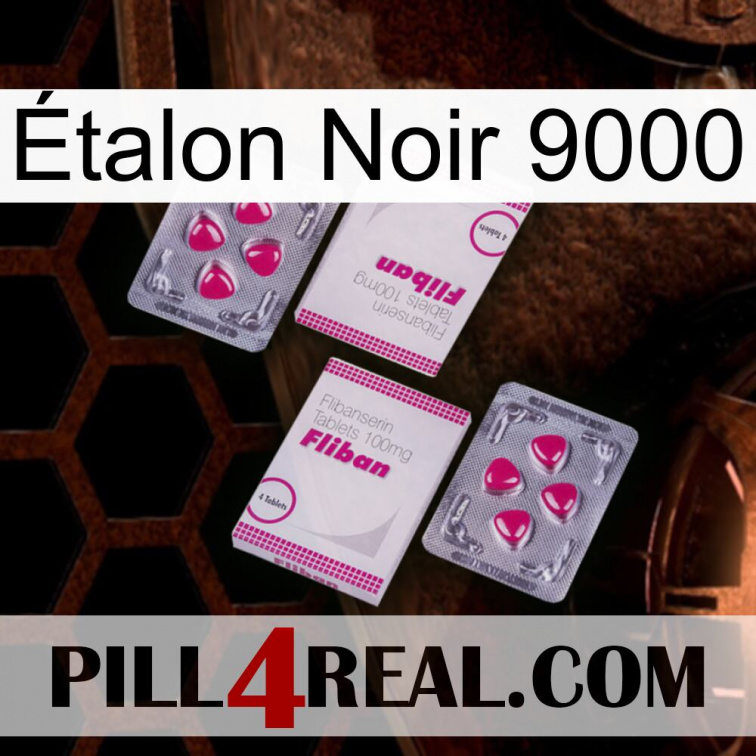 Étalon Noir 9000 33